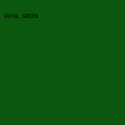 0B570E - Royal Green color image preview