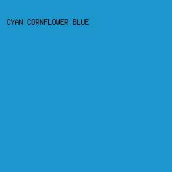 1D96CD - Cyan Cornflower Blue color image preview