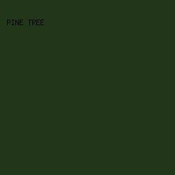 22361A - Pine Tree color image preview