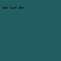 225D61 - Dark Slate Gray color image preview