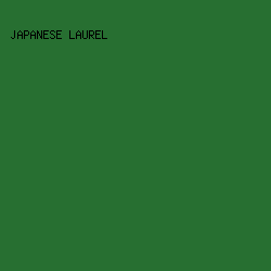 276F31 - Japanese Laurel color image preview