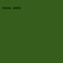 365D1C - Mughal Green color image preview