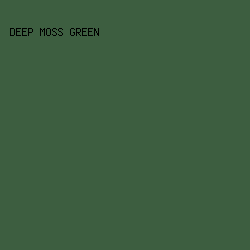 3D5E40 - Deep Moss Green color image preview