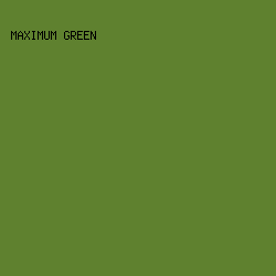 5F812F - Maximum Green color image preview