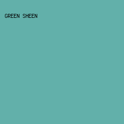 62B0AA - Green Sheen color image preview