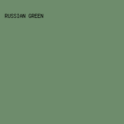 6E8C6C - Russian Green color image preview