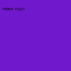 7018CB - French Violet color image preview