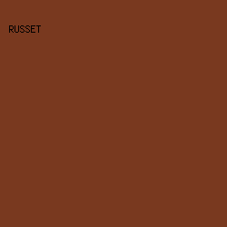79391F - Russet color image preview