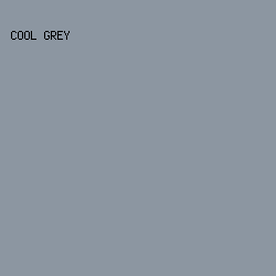 8C96A1 - Cool Grey color image preview