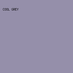 958FAA - Cool Grey color image preview