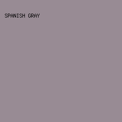 988B94 - Spanish Gray color image preview