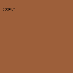 9D5F3A - Coconut color image preview