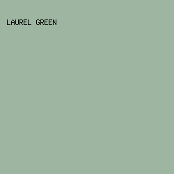 9EB5A1 - Laurel Green color image preview