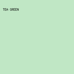 C0E7C5 - Tea Green color image preview