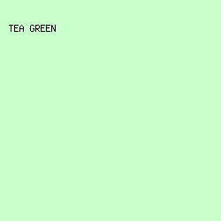 C7FECA - Tea Green color image preview