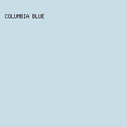 C9DDE7 - Columbia Blue color image preview