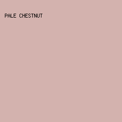 D3B2AE - Pale Chestnut color image preview