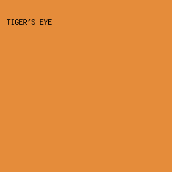 E58C3A - Tiger's Eye color image preview