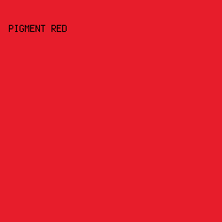 E71D2B - Pigment Red color image preview