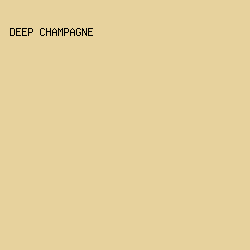 E7D29D - Deep Champagne color image preview