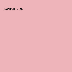 EEB4BA - Spanish Pink color image preview