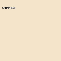 F4E5CA - Champagne color image preview