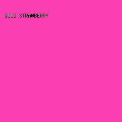FB3EB2 - Wild Strawberry color image preview