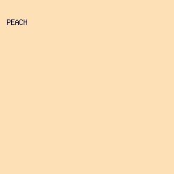 FEE0B6 - Peach color image preview