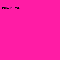 FF1CA5 - Persian Rose color image preview