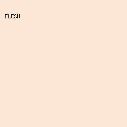 FFE7D7 - Flesh color image preview