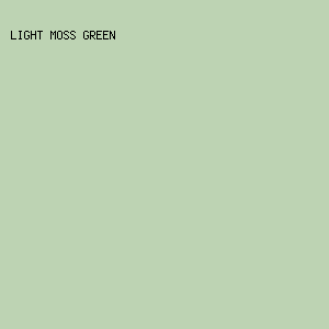 Light Moss Green Color