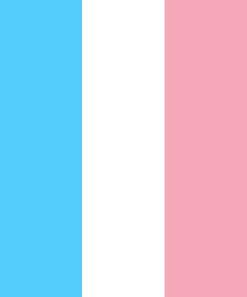Transgender Pride Flag Colors Color Scheme Blue Schemecolor Com - pastel pink light pink roblox logo