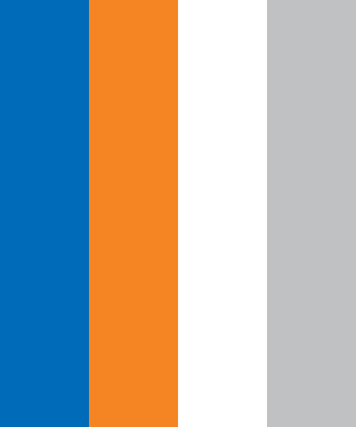 New York Knicks Colors and Logo: A History and Color Codes — The
