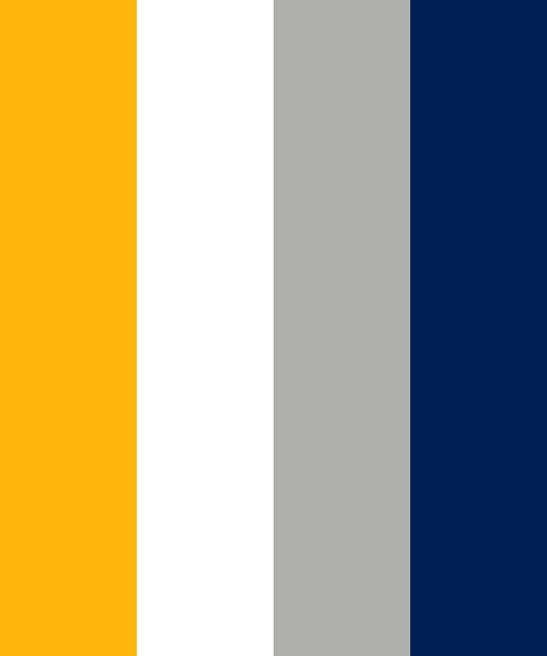 Buffalo Sabres Colors - Team Color Codes