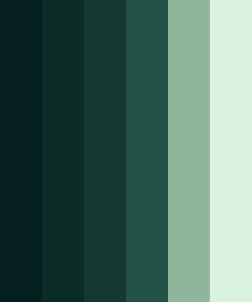 Dark Forest Greens Color Scheme Green Schemecolor Com