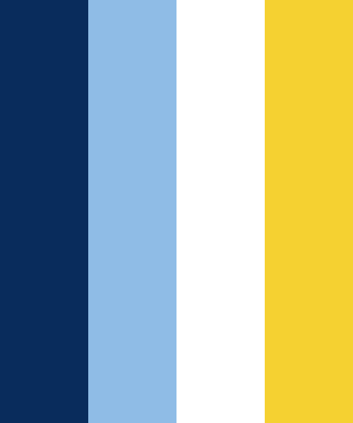 Tampa Bay Rays flag color codes