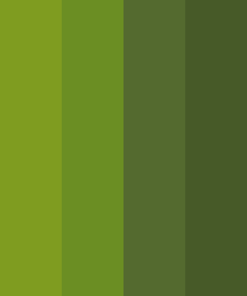 Olive Green Color Scheme