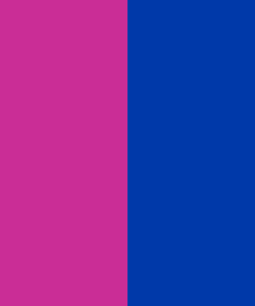 Royal Duo Color Scheme Blue