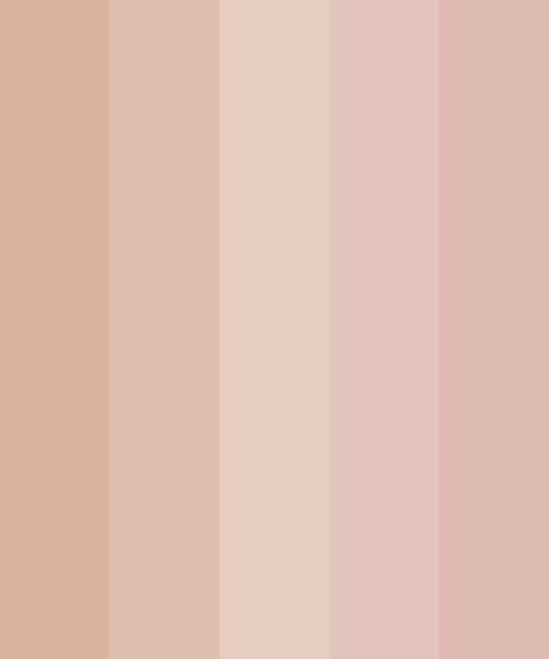 Natural Nude Colour Palette  Nude color palette, Tan color