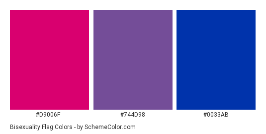 Bi Flag Colors Hex Best Picture Of Flag Imagescoorg - 