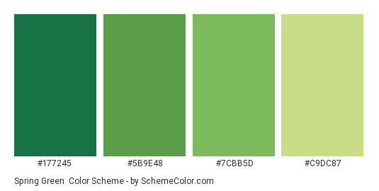 https://www.schemecolor.com/wp-content/themes/colorsite/include/cc4.php?color0=177245&color1=5b9e48&color2=7cbb5d&color3=c9dc87&pn=Spring%20Green