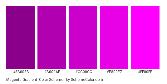 Magenta Gradient Color Scheme » Magenta » SchemeColor.com