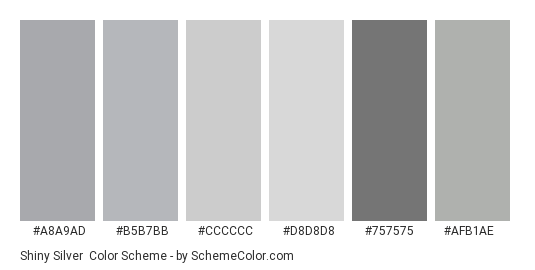 Shiny Silver Color Scheme » Gray » SchemeColor.com