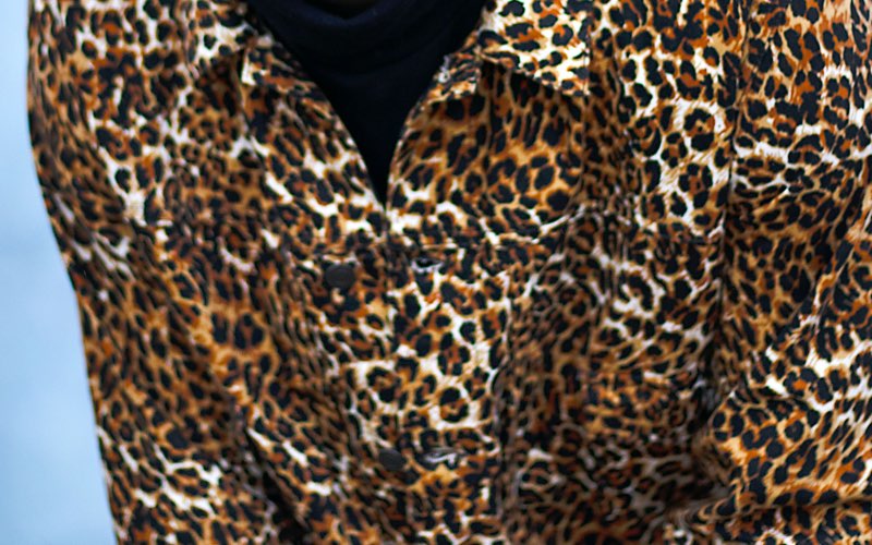 Leopard Print Jacket Color Scheme » Image » SchemeColor.com